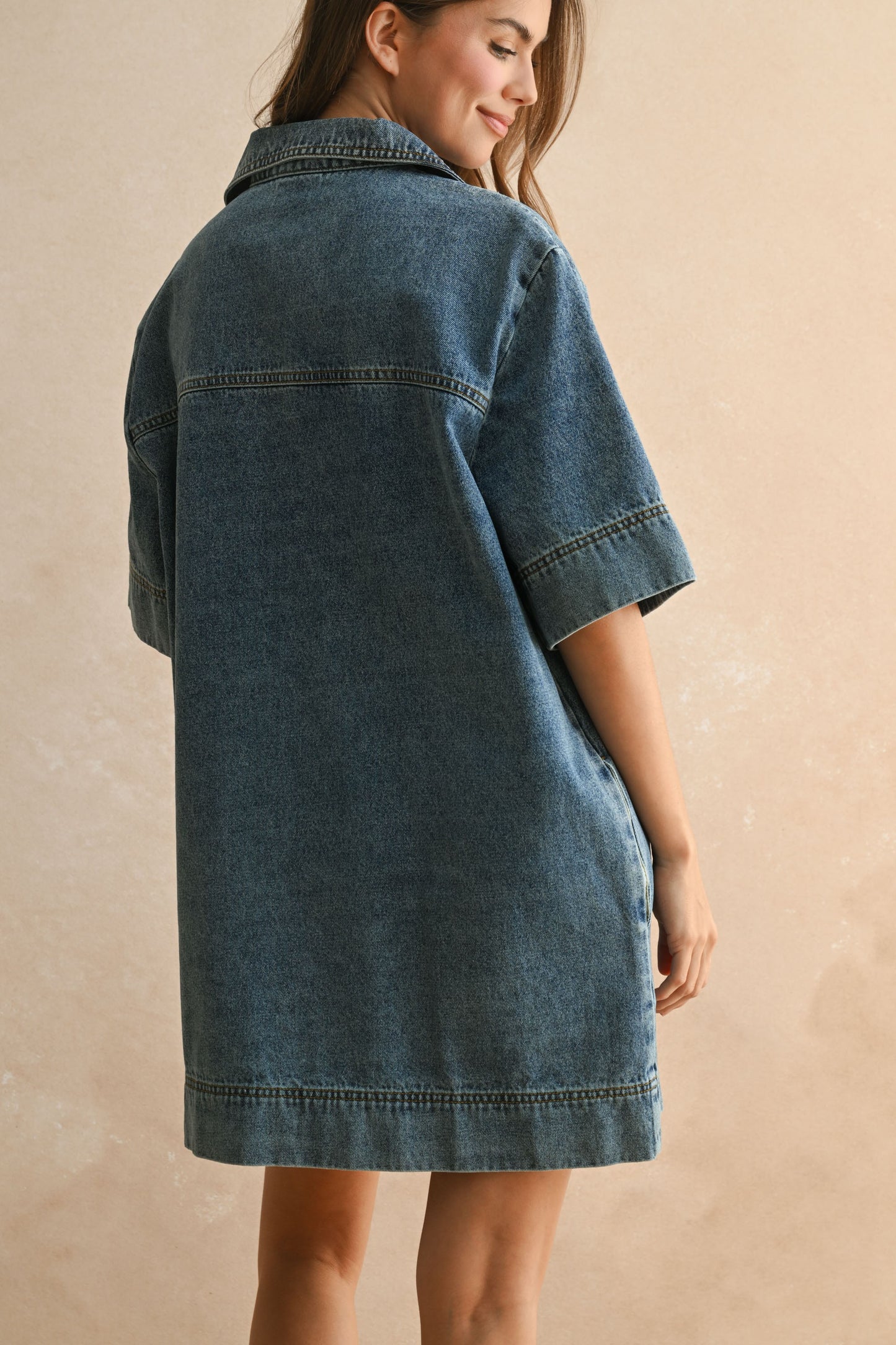 Daria Denim Dress