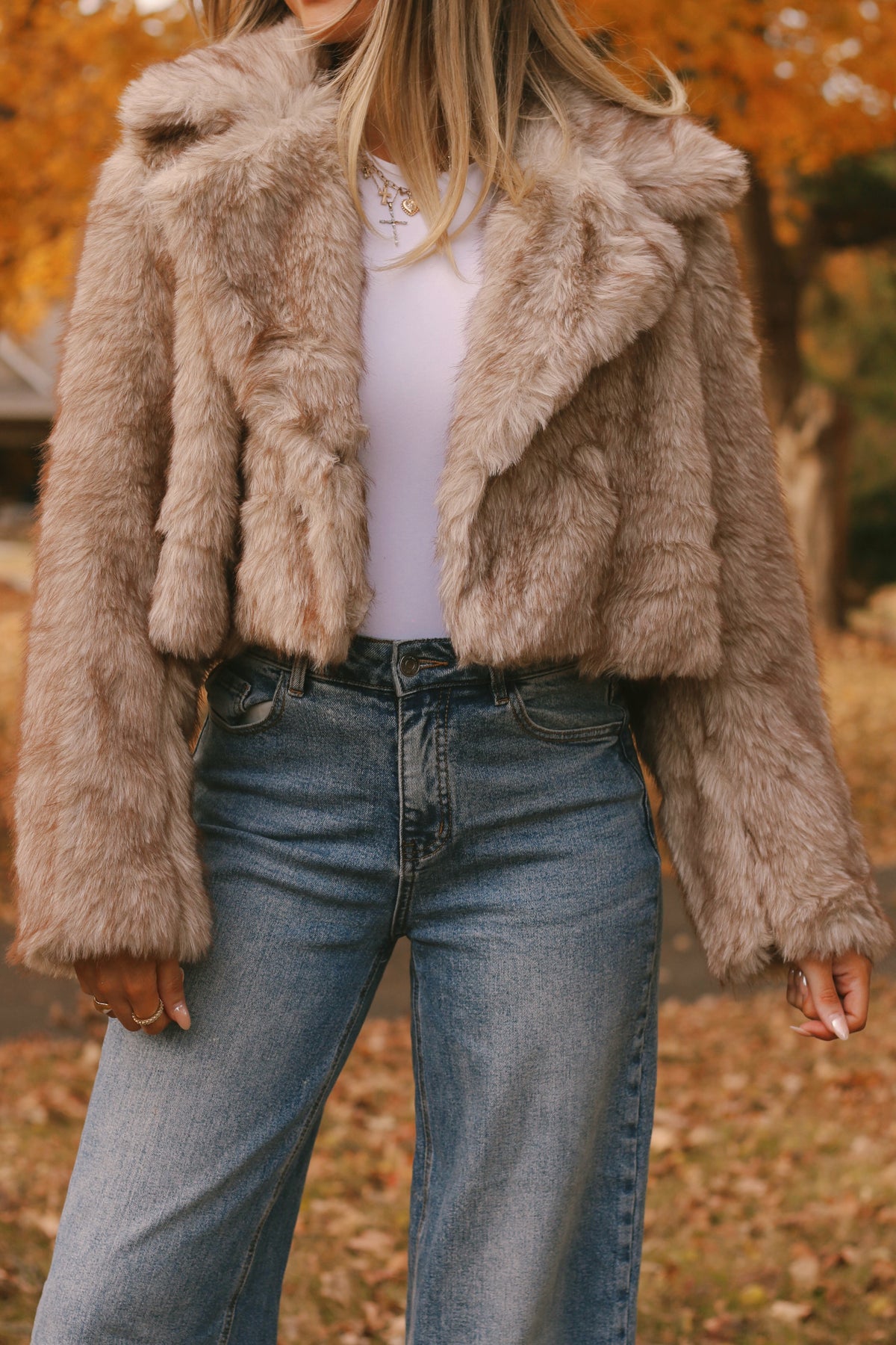 Ally Faux Fur Jacket- Dusk Beige