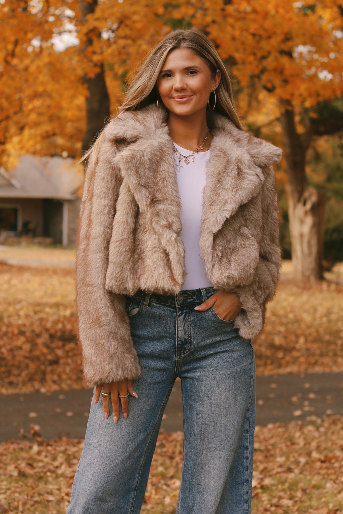 Ally Faux Fur Jacket- Dusk Beige