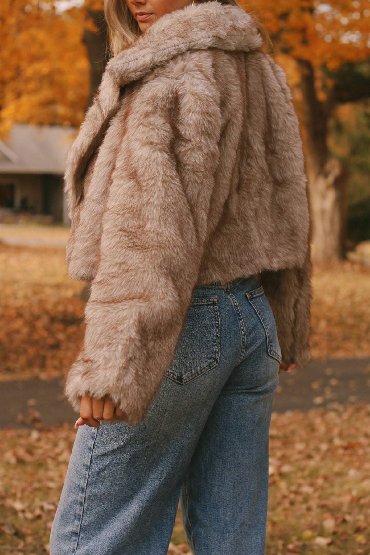 Ally Faux Fur Jacket- Dusk Beige