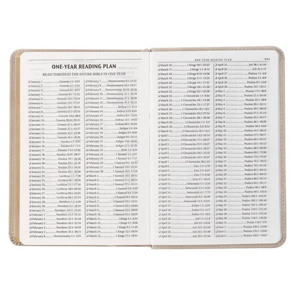 KJV Bible Compact Faux Leather- Taupe